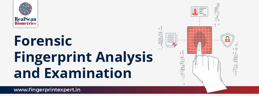 Forensic Fingerprint Analysis and Examination