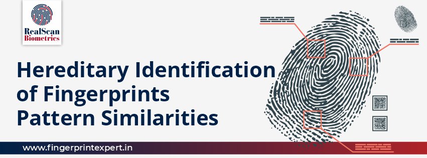 Hereditary Identification of Fingerprints | Pattern Similarities