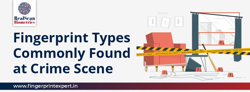 Fingerprint Types Commonly Found at Crime Scene