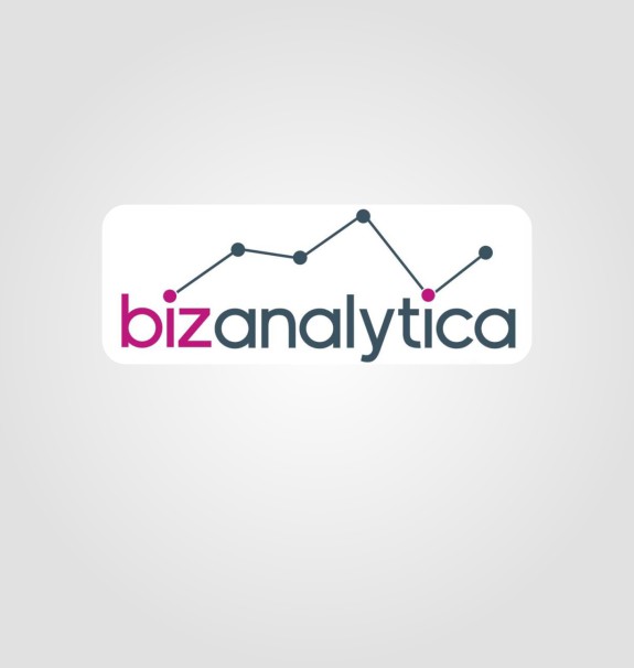 Bizanalytica